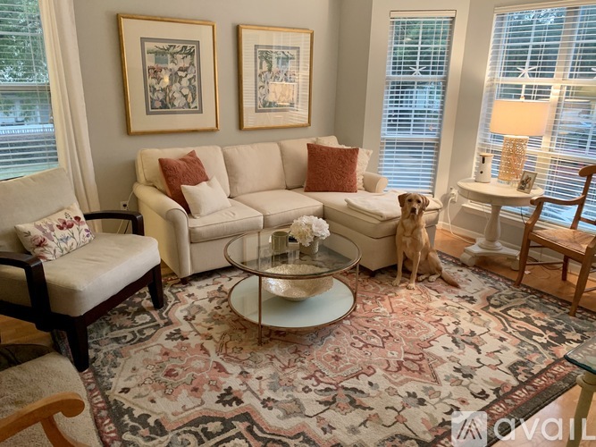 A dog sits on a rug in a living room with two couches and a coffee table.