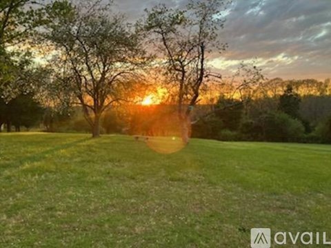 A sunset view with trees and grass.