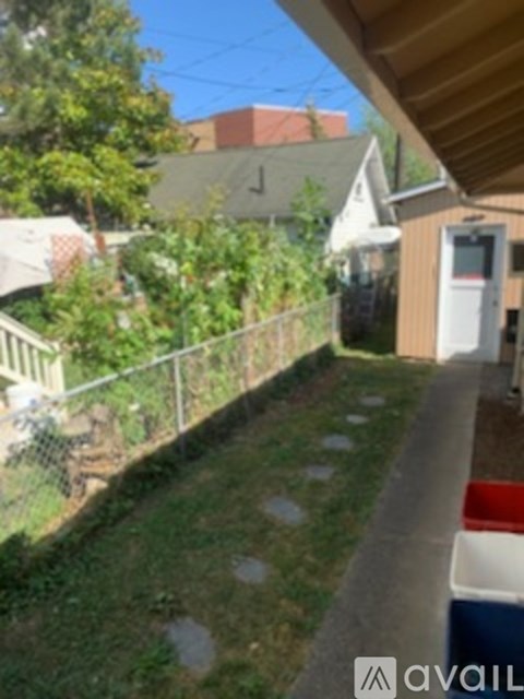 A backyard with a fence and a shed.