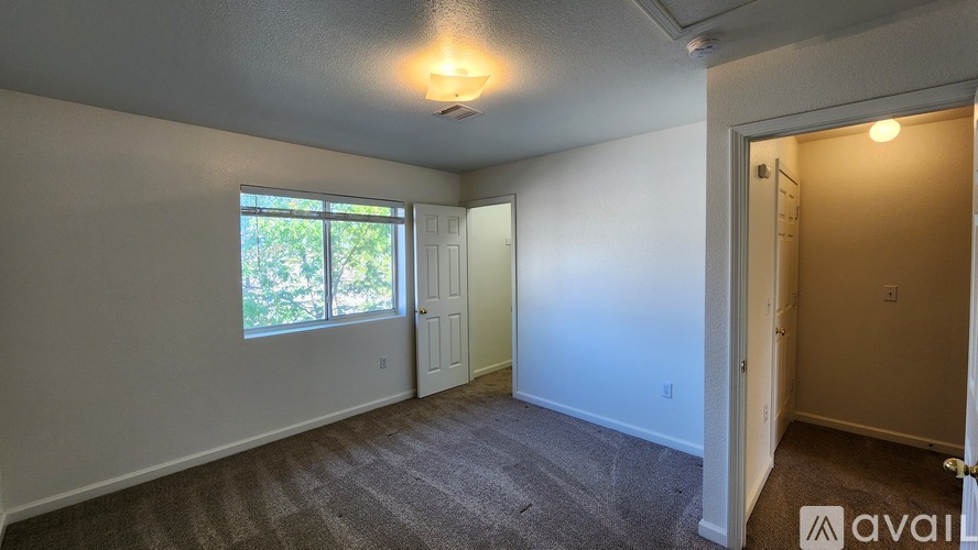 A room with a carpeted floor and a window with a view of trees.