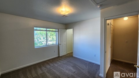 A room with a carpeted floor and a window with a view of trees.