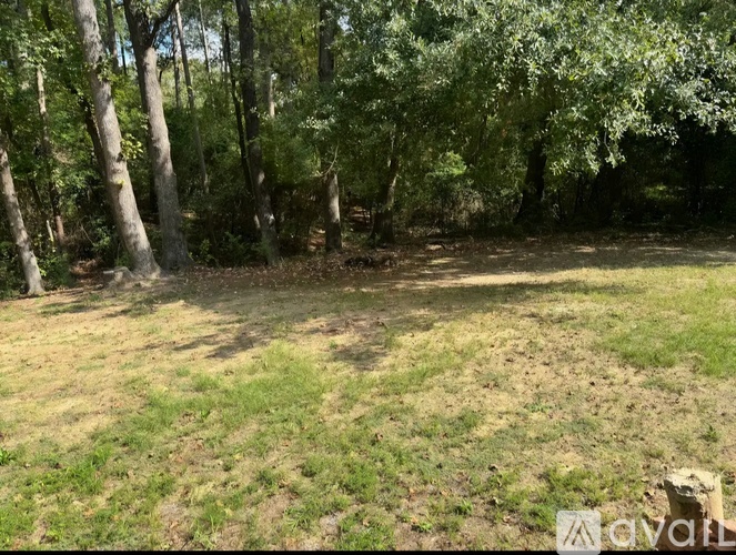 A grassy area with trees in the background.