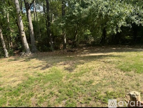 A grassy area with trees in the background.
