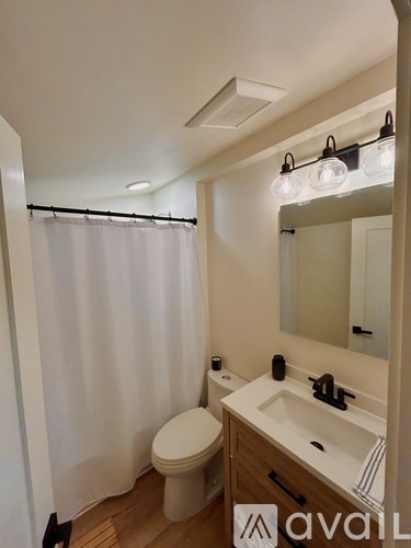 A bathroom with a toilet, sink, and shower curtain.