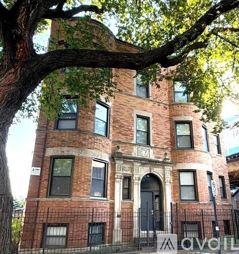 A large tree is in front of a red brick building.