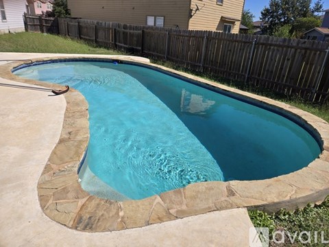 A small residential pool with a curved concrete border.