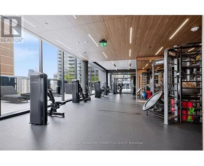 A gym with a variety of equipment including treadmills, weights, and exercise machines.