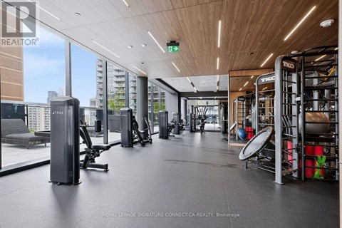 A gym with a variety of equipment including treadmills, weights, and exercise machines.