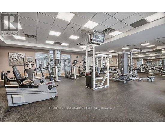 A gym with a variety of equipment including treadmills, weights, and exercise machines.