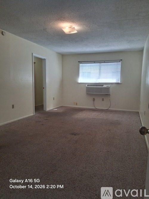 3139 Addison Street Studio Apartment for Rent - Photo gallery 4