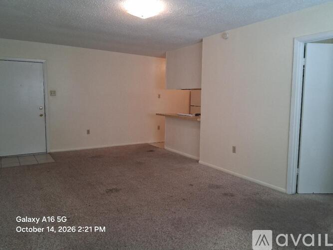 3139 Addison Street Studio Apartment for Rent - Photo gallery 5