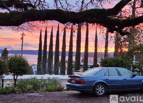 A blue car is parked under a tree with a sunset in the background.