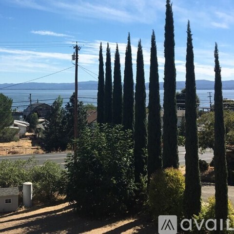 A row of tall trees in front of a house with a view of the water.