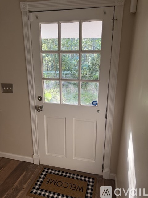 A white door with a window and a mat on the floor.