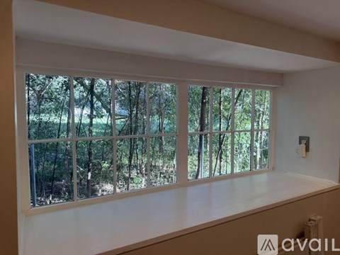 A window with a view of trees outside.