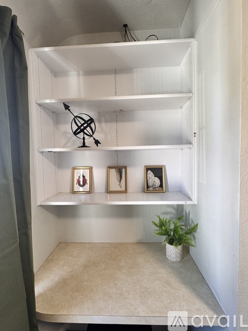 A white shelving unit with a plant and three picture frames on it.