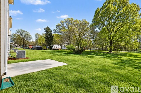 A grassy area with trees and a clear sky.