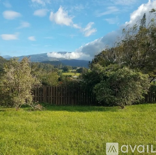 A grassy field with a fence and trees in the background.