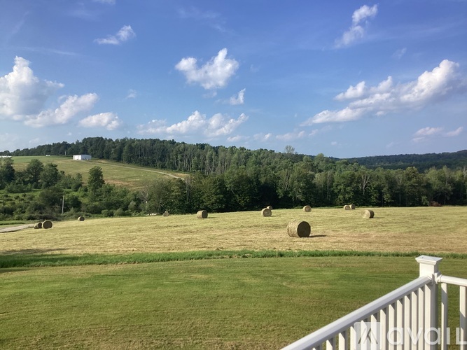 Hay bales are scattered across a field.