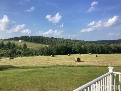Hay bales are scattered across a field.