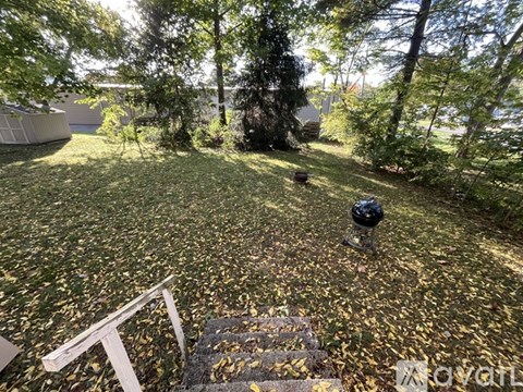 A backyard with a lawn covered in leaves and a mailbox on the right.