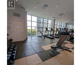 A gym with treadmills, weights and exercise machines.