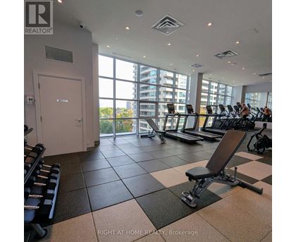 A gym with treadmills, weights and exercise machines.
