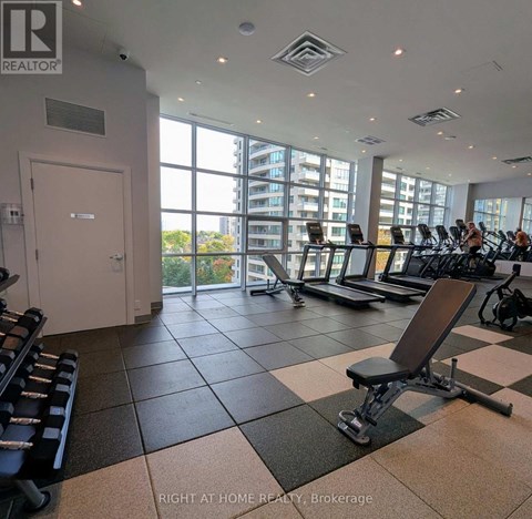 A gym with treadmills, weights and exercise machines.