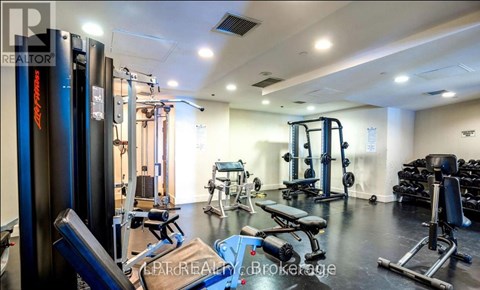 A well-equipped gym with various exercise machines and weights.