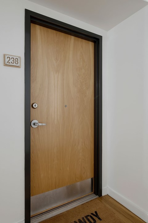A brown door with a silver handle and a number 238 above it.