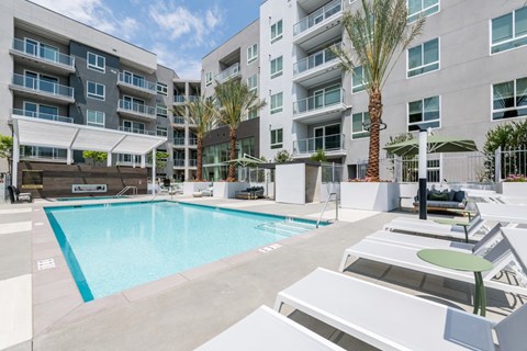 A large swimming pool is surrounded by apartment buildings.