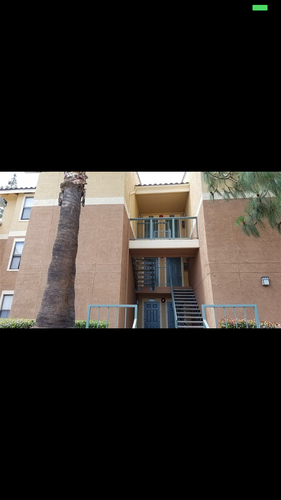 A building with a blue door and a palm tree in front.