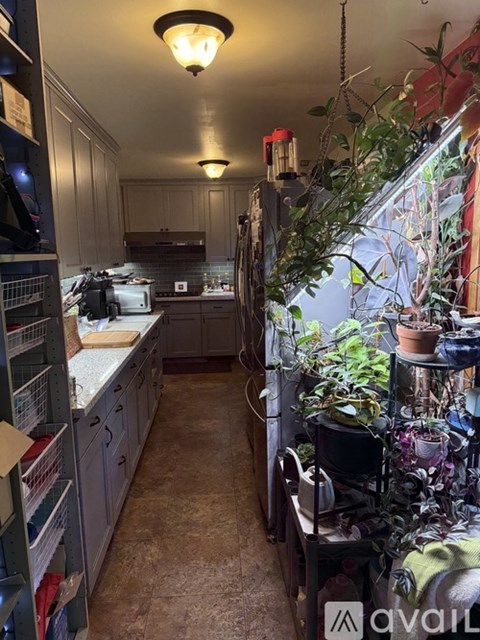 A kitchen with a long counter and lots of plants.