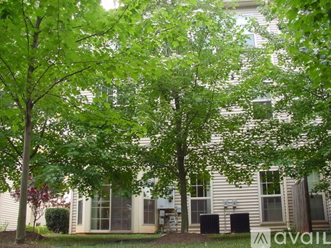 21170 Domain Terrace 2 Beds Apartment for Rent