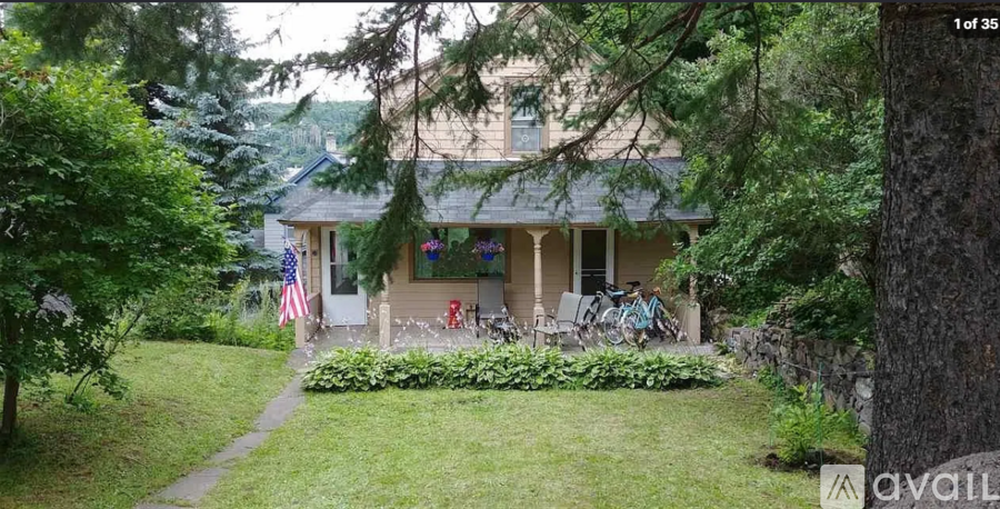 A house with a flag on the front porch is surrounded by greenery.