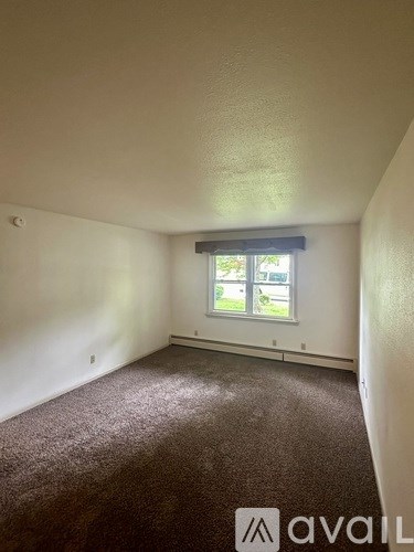 A room with a carpeted floor and a window.