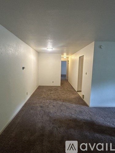 A carpeted hallway with a light on the ceiling and a door on the right.