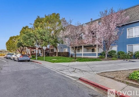 1457 North Camino Alto 2 Beds Apartment for Rent