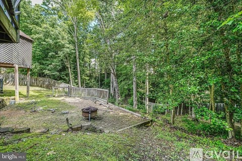 A backyard with a beehive surrounded by trees.