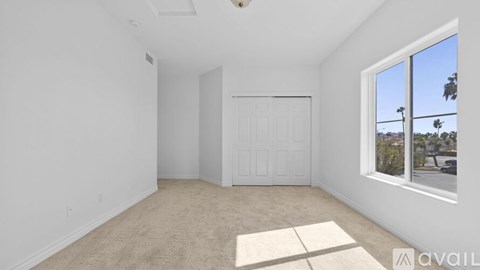 A room with a carpeted floor and a window showing a view of a street with cars and palm trees.
