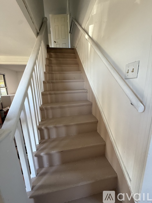 A staircase with a white railing and beige carpeted steps.