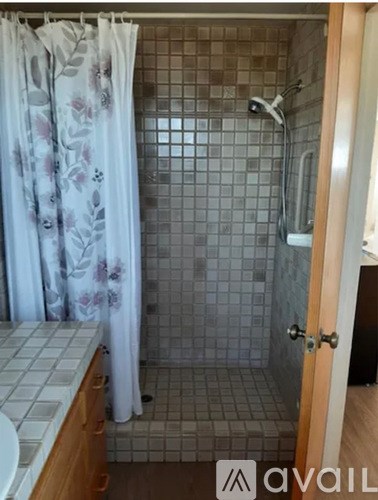A bathroom with a shower and a sink.