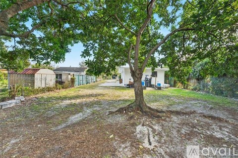 A tree stands in the middle of a grassy area with a building in the background.