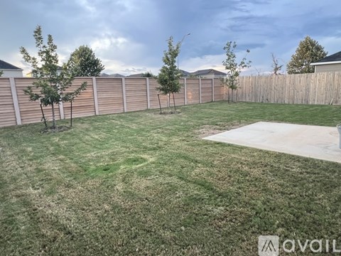 A backyard with a fence and a tree.