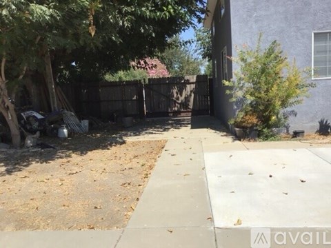 A backyard with a concrete walkway, a tree, and a fence.