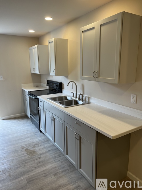 A kitchen with a sink and cabinets.