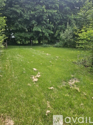 A grassy field with trees in the background and a house visible through the trees.