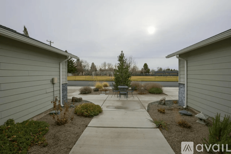 A backyard with a concrete patio and a small tree in the center.