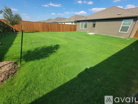 A backyard with a green lawn and a wooden fence.