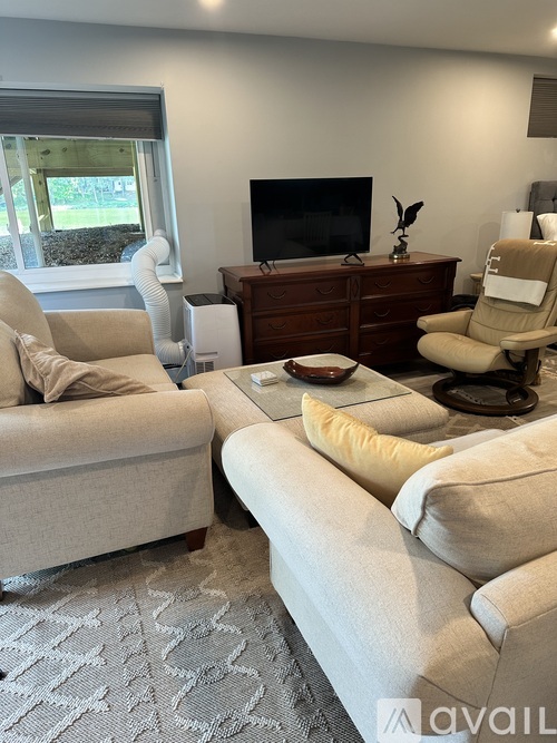 A living room with a television and two couches.